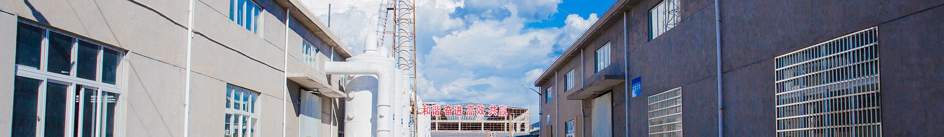2.5.9-专利证书 
